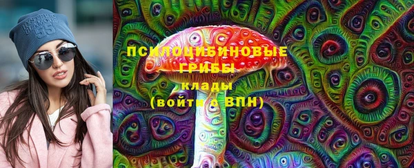 прущие грибы Михайловка