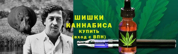 шишки Заволжье