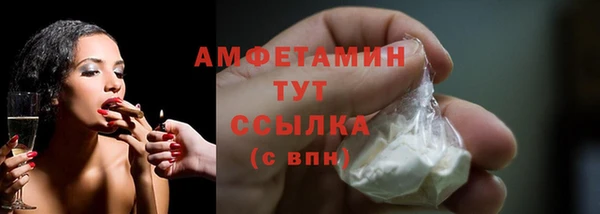 прущие грибы Михайловка