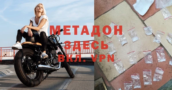 прущие грибы Михайловка