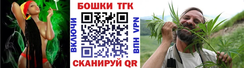 MEGA ТОР  купить наркотик  Новая Ляля  Каннабис индика 